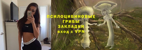 прущая мука Новодвинск