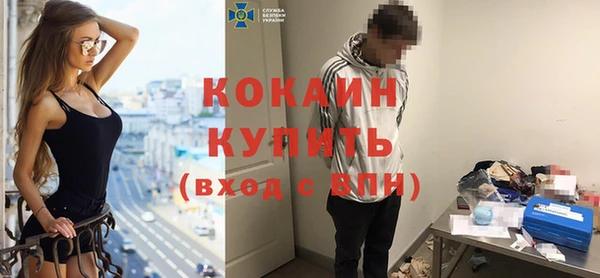 соль ск Новозыбков