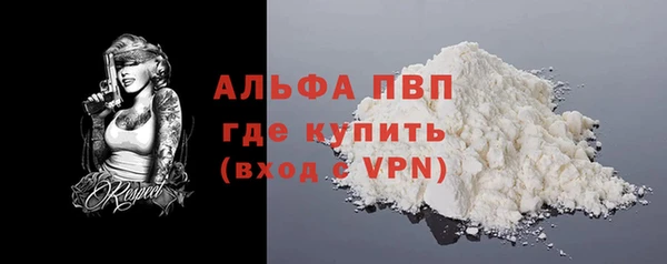 соль ск Новозыбков