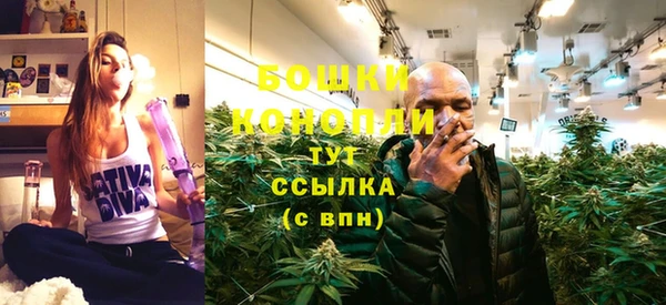 соль ск Новозыбков