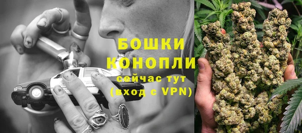 соль ск Новозыбков