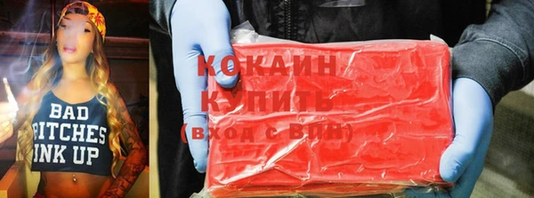 соль ск Новозыбков