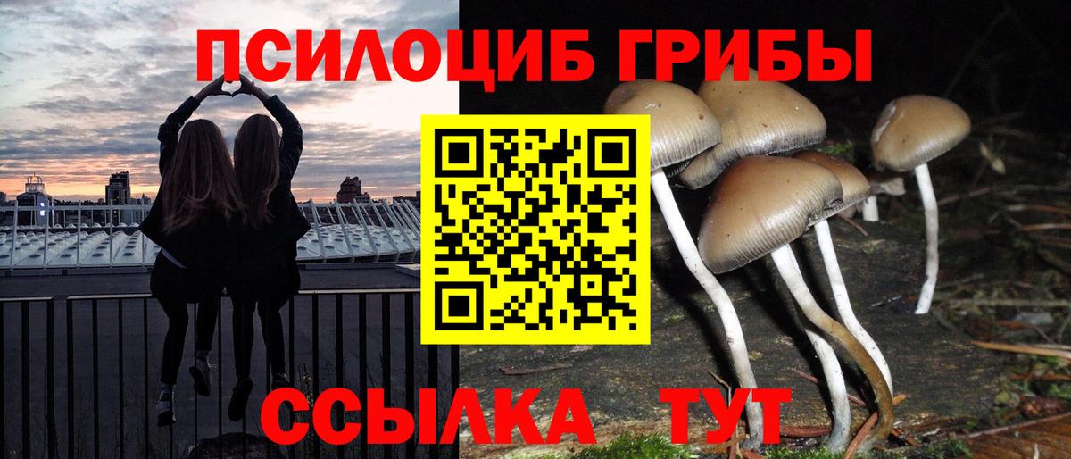 Москва  купить наркотики цена  Вход с VPN  Псилоцибиновые грибы прущие грибы 