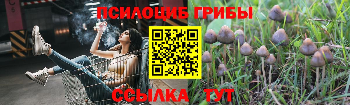 Галлюциногенные грибы MAGIC MUSHROOMS Москва